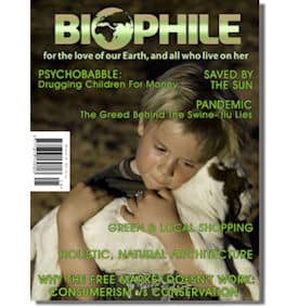 Cover of Issue 28