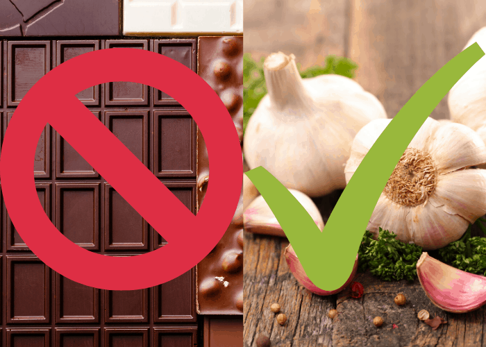 No to chocolate, yes to garlic!